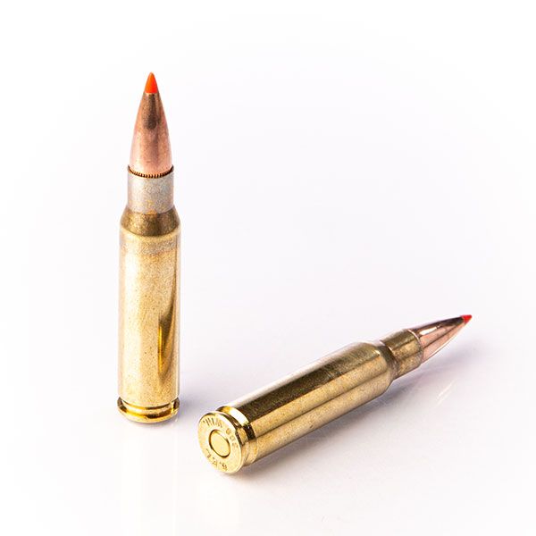 308 WINCHESTER LL